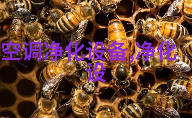 斜板沉淀装置